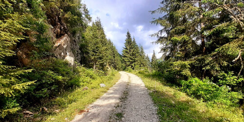 marisel gravel road
